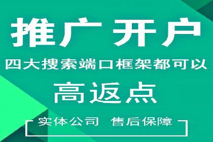 SEM代理助力品牌：案例解析与优化策略