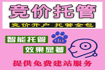 百度推广与品牌建设：成功品牌推广案例解析